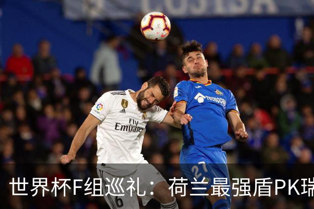 世界杯F组巡礼：荷兰最强盾PK瑞典犀利刀 日本短板明显