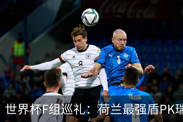 世界杯F组巡礼：荷兰最强盾PK瑞典犀利刀 日本短板明显