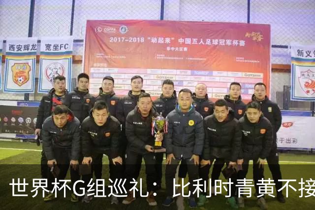 世界杯G组巡礼：比利时青黄不接 伊朗赴美参赛风波不断